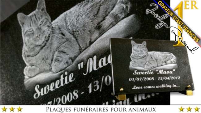 Voici une plaque fun&eacute;raire pour chat et pour animaux de compagnie. Cette plaque fun&egrave;bre est en granit.