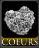 coeurs