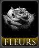 fleurs