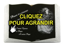 Plaque en forme de livre pour personnalisation d'articles portaires