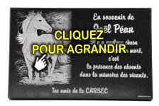 Cheval grav&eacute; sur une plaque fun&eacute;raire en granit