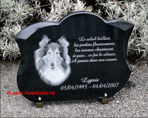 A dog on a memorial plaque