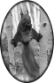 animal-3