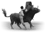 animal-55