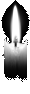 bougie-5