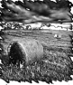 campagne-11