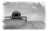 campagne-21