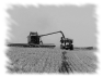 campagne-22