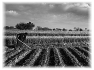 campagne-25
