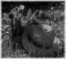 campagne-43