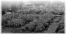 campagne-47
