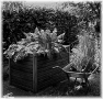 campagne-51