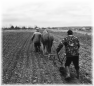 campagne-53