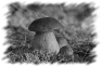 campagne-71