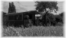 campagne-77