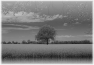 campagne-79