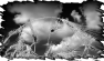 campagne-9