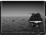 chasse-16