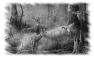 chasse-19
