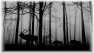 chasse-20