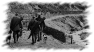 chasse-21