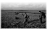 chasse-22