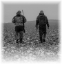 chasse-30
