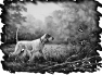 chasse-4