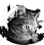 chat-10