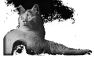 chat-12