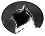 chat-13