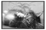chat-14