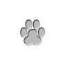 chat-17