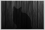 chat-19