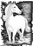 cheval-1