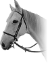 cheval-15
