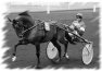 cheval-16