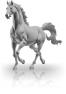 cheval-18