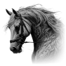 cheval-27
