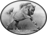 cheval-4