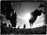 cheval-9
