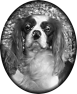 chien-19