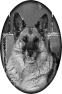 chien-21