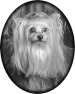 chien-22