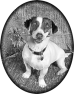 chien-27