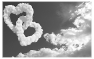 coeur-14