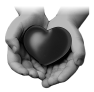 coeur-21