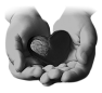 coeur-22