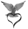 coeur-24
