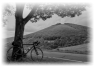 cyclisme-22